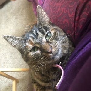 Meet your Posher, Christina